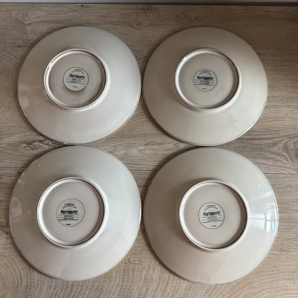 Pier 1 Plates Sanctuary Stoneware Beige Brown Starburst Salad Dessert‎ Lot Of 4
